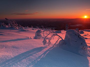 Zdjęcie kierunku: Rovaniemi